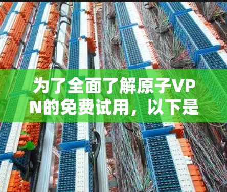 为了全面了解原子VPN的免费试用，以下是一个结构化的总结和建议