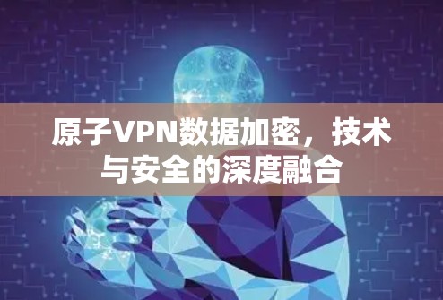 原子VPN数据加密，技术与安全的深度融合