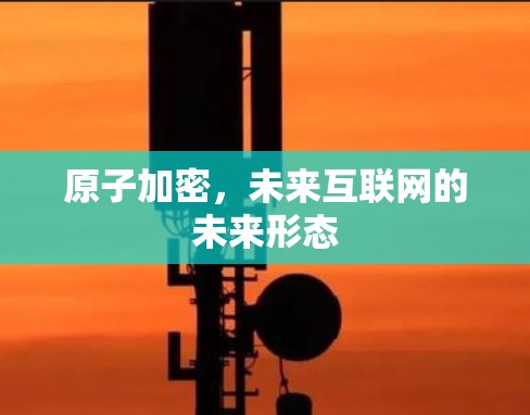 原子加密，未来互联网的未来形态