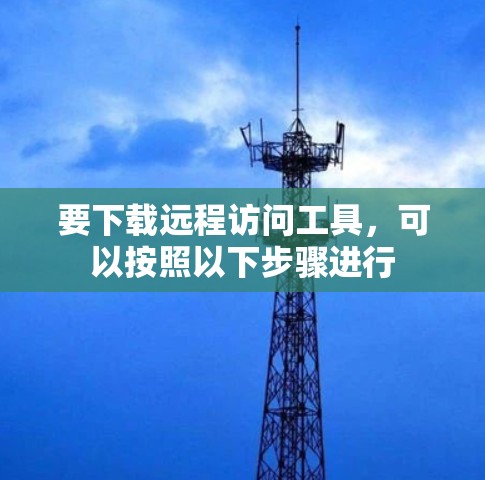 要下载远程访问工具，可以按照以下步骤进行
