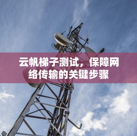 云帆梯子测试，保障网络传输的关键步骤