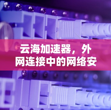 云海加速器，外网连接中的网络安全之困