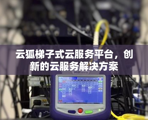 云狐梯子式云服务平台，创新的云服务解决方案