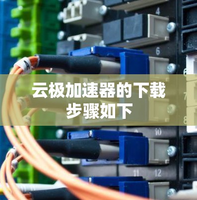 云极加速器的下载步骤如下 云极加速器的下载步骤如下