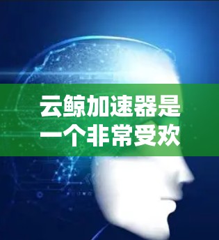 云鲸加速器是一个非常受欢迎的云服务加速器，提供多种云服务加速，包括S3、AWS云应用、阿里云云应用、阿里云云存储等。以下是一些推荐的云鲸加速器节点类型和推荐信息