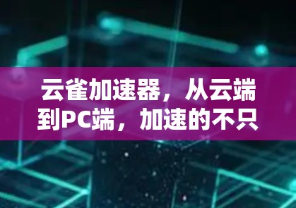 云雀加速器，从云端到PC端，加速的不只是数据，而是游戏、VR、数据存储等的效率