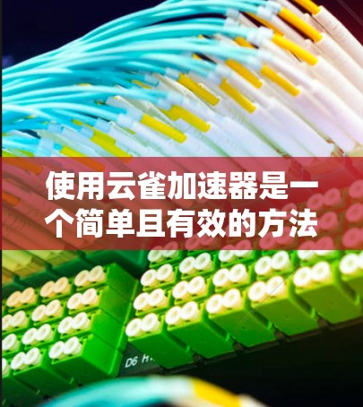 使用云雀加速器是一个简单且有效的方法，帮助你快速连接手机、平板或电脑到网络。以下是一步步的指南