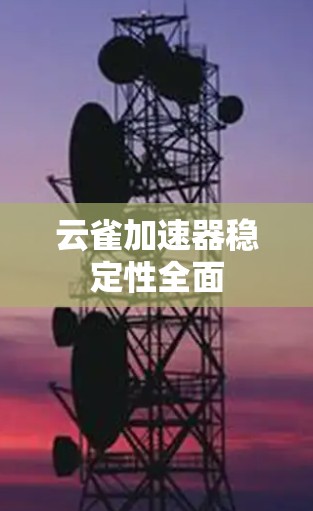 云雀加速器稳定性全面