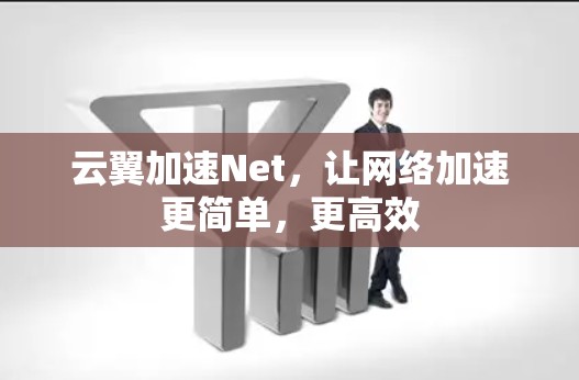云翼加速Net,让网络加速更简单,更高效 云翼加速Net,让网络加速更简单,更高效