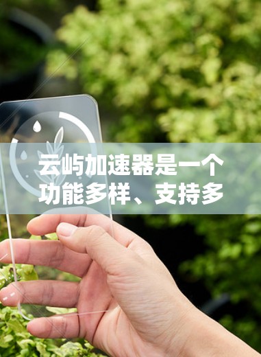 云屿加速器是一个功能多样、支持多个加速器节点的综合性加速平台，每个节点都有其独特的专长和功能。以下是关于云屿加速器的详细分类