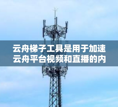 云舟梯子工具是用于加速云舟平台视频和直播的内容的插件，提供了多种梯子类型，如自动、手动和配置，以优化加速器的性能。以下是详细的步骤和信息