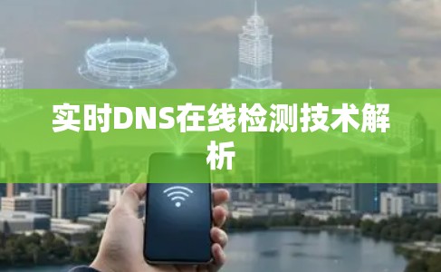 实时DNS在线检测技术解析