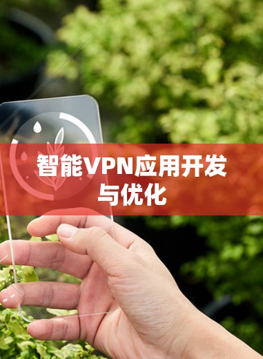智能VPN应用开发与优化