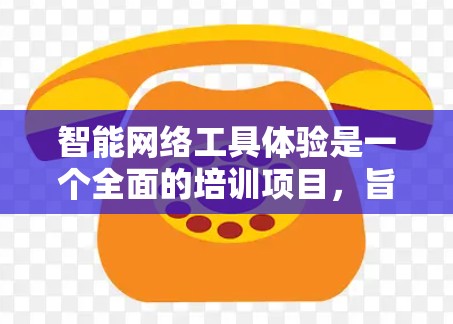 智能网络工具体验是一个全面的培训项目，旨在提升员工的网络技能、网络安全意识和团队协作能力。以下是详细的步骤说明