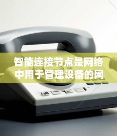 智能连接节点是网络中用于管理设备的网络连接节点，具备以下核心功能