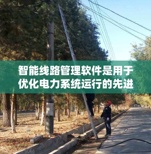 智能线路管理软件是用于优化电力系统运行的先进解决方案,广泛应用于电力、电力保护和通信领域。以下是对该领域的一些详细分析和总结 智能线路管理软件是用于优化电力系统运行的先进解决方案,广泛应用于电力、电力保护和通信领域。以下是对该领域的一些详细分析和总结