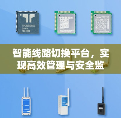 智能线路切换平台，实现高效管理与安全监控