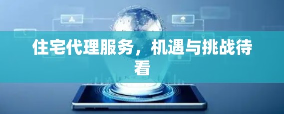 住宅代理服务,机遇与挑战待看 住宅代理服务,机遇与挑战待看