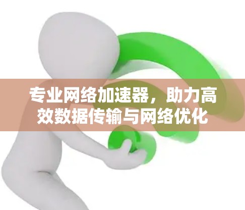 专业网络加速器,助力高效数据传输与网络优化 专业网络加速器,助力高效数据传输与网络优化