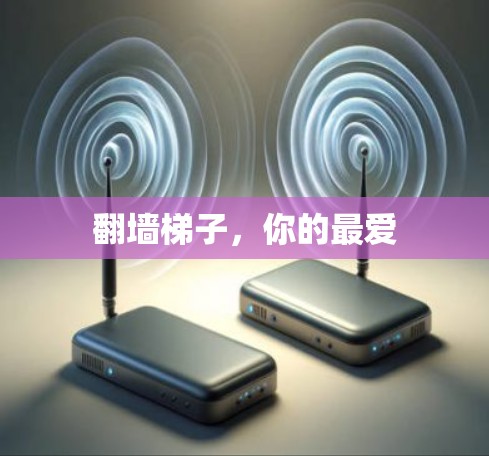 翻墙梯子，你的最爱