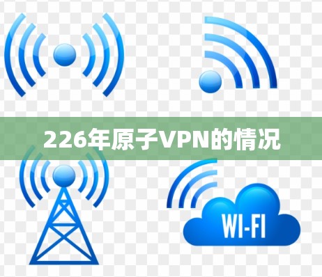 226年原子VPN的情况