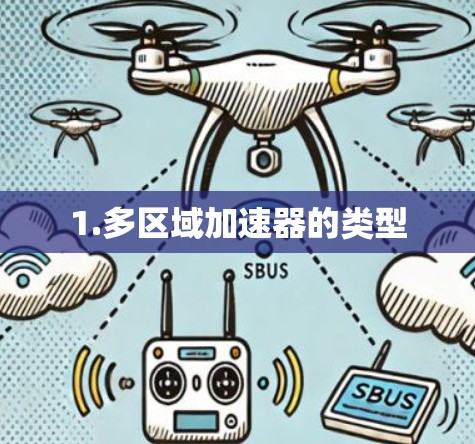 1.多区域加速器的类型