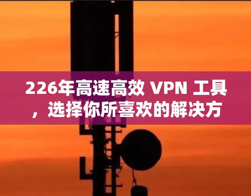 226年高速高效 VPN 工具,选择你所喜欢的解决方案 226年高速高效 VPN 工具,选择你所喜欢的解决方案