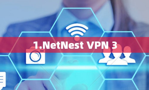 1.NetNest VPN 3 1.NetNest VPN 3