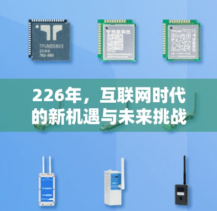 226年，互联网时代的新机遇与未来挑战