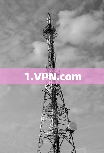 1.VPN.com 1.VPN.com