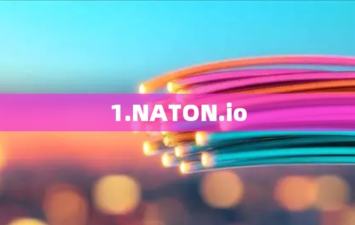1.NATON.io