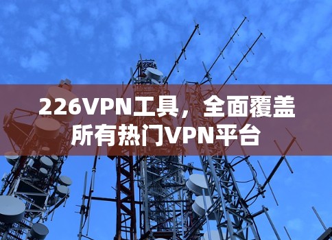 226VPN工具,全面覆盖所有热门VPN平台 226VPN工具,全面覆盖所有热门VPN平台