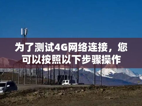 为了测试4G网络连接，您可以按照以下步骤操作