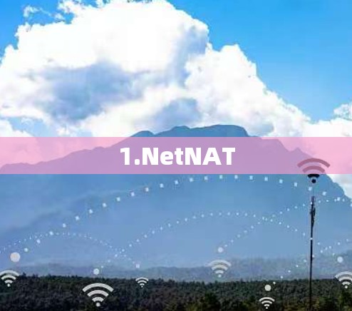 1.NetNAT