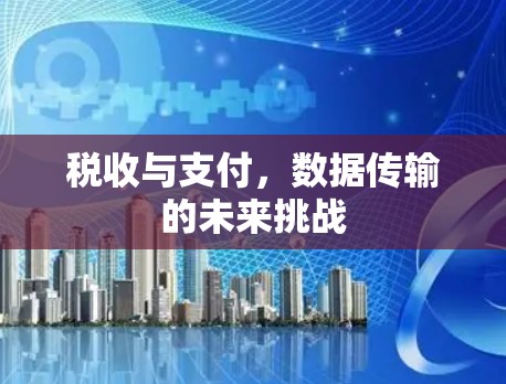 税收与支付，数据传输的未来挑战