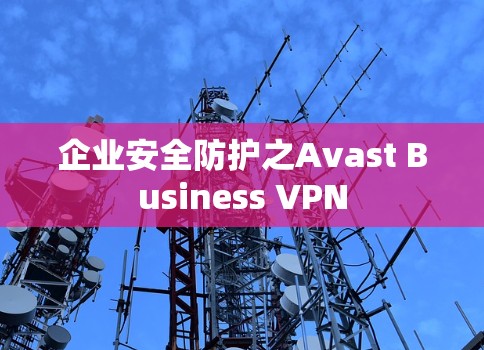 企业安全防护之Avast Business VPN