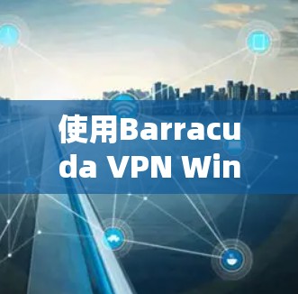 使用Barracuda VPN Windows版连接到网络的步骤如下
