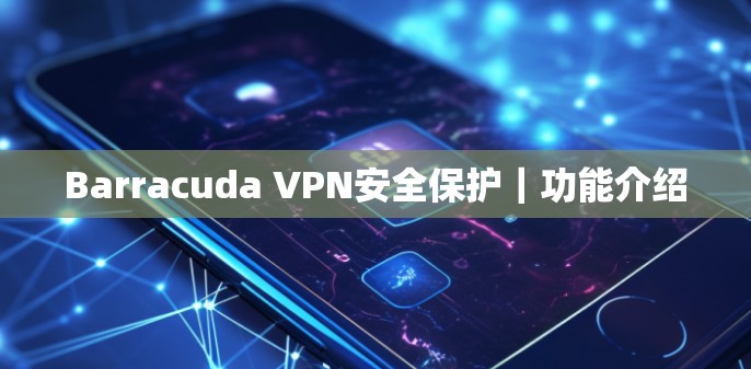 Barracuda VPN安全保护|功能介绍 Barracuda VPN安全保护|功能介绍