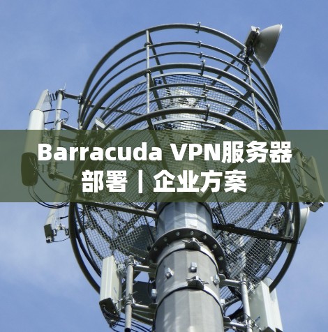 Barracuda VPN服务器部署｜企业方案