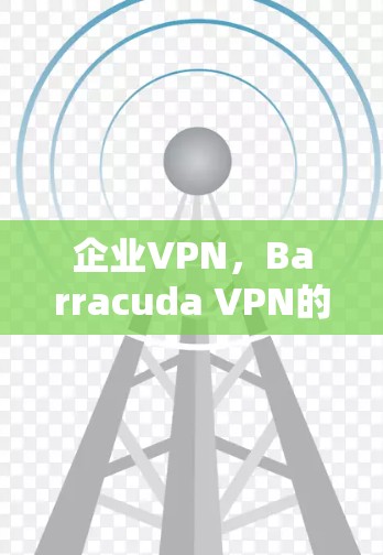 企业VPN,Barracuda VPN的高效解决方案 企业VPN,Barracuda VPN的高效解决方案