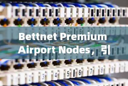 Bettnet Premium Airport Nodes，引领未来出行的智能交通网络