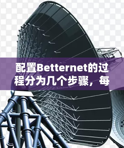 配置Betternet的过程分为几个步骤，每个步骤都有具体的要求和注意事项。以下是对每个步骤的详细说明