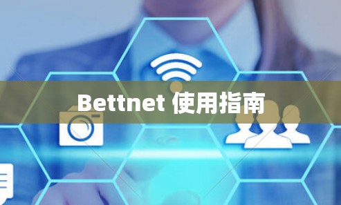 Bettnet 使用指南