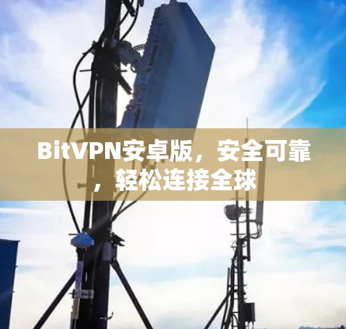 BitVPN安卓版，安全可靠，轻松连接全球