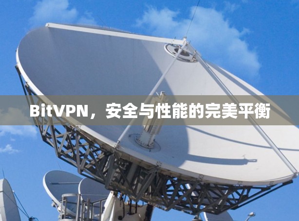 BitVPN，安全与性能的完美平衡