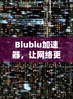 Biubiu加速器，让网络更顺畅，数据更高效