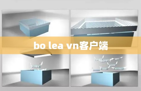 bo lea vn客户端