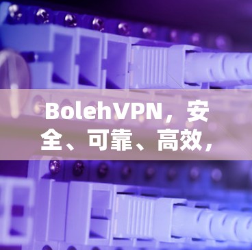 BolehVPN，安全、可靠、高效，为您的网络保驾护航