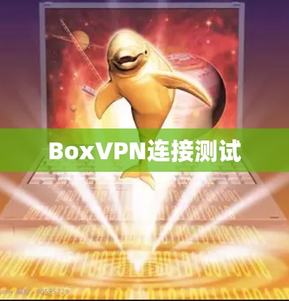 BoxVPN连接测试