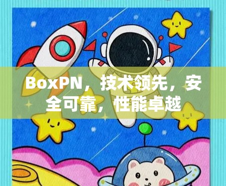 BoxPN,技术领先,安全可靠,性能卓越 BoxPN,技术领先,安全可靠,性能卓越